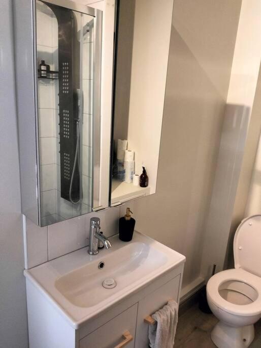 Charmant Logement, Vue Sur Toulouse 1 Min Du Metro Kültér fotó